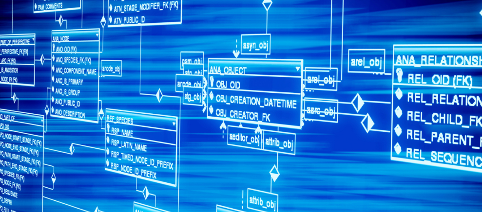 为啥脚冰凉，脚心出汗