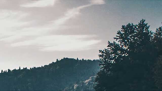 “空虚公子”的虚都刻画在脸上，其实肾虚是有这几种脸部特征的